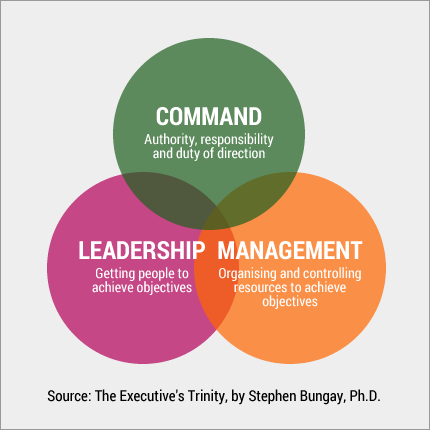 The Executive’s Trinity, by Stephen Bungay The Executive’s Trinity, by Stephen Bungay