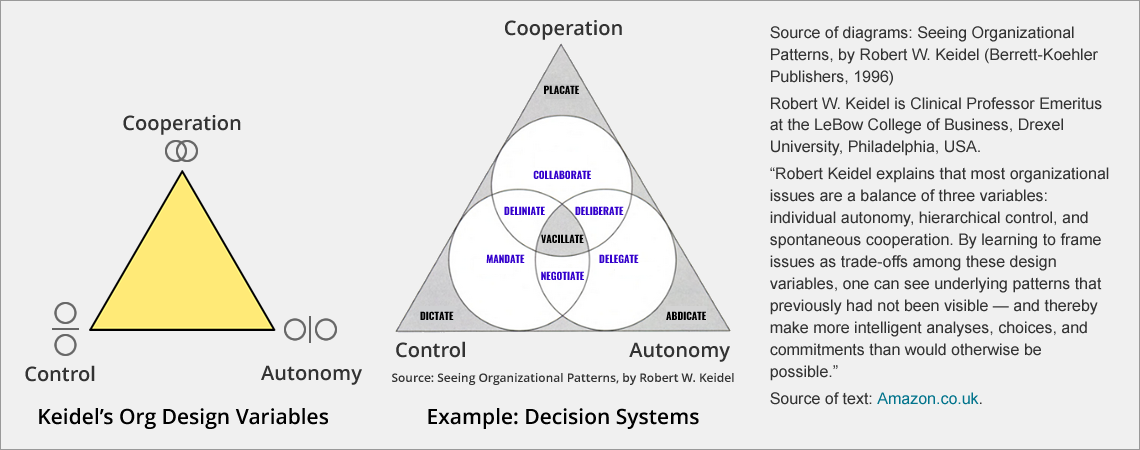 View the Amazon UK page for Seeing Organizational Patterns Robert Keidel’s three design variables