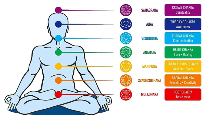 The chakra system