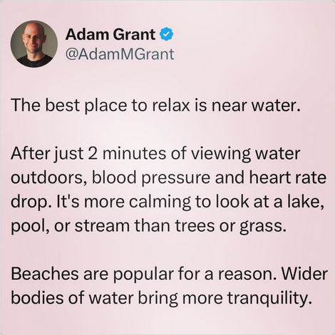 Adam Grant quote